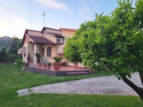 The House of Citrus - amazing country house near Viareggio beach and Lucca, Stiava